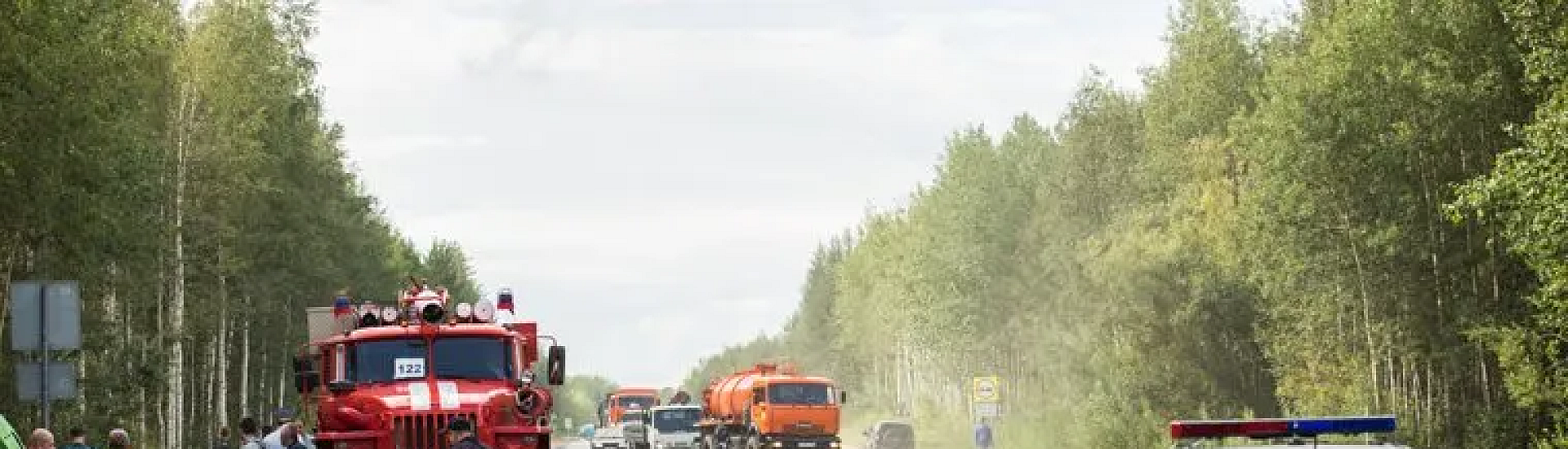 В Югре водитель насмерть сбил медведя: ущерб оценили в 60 тысяч рублей