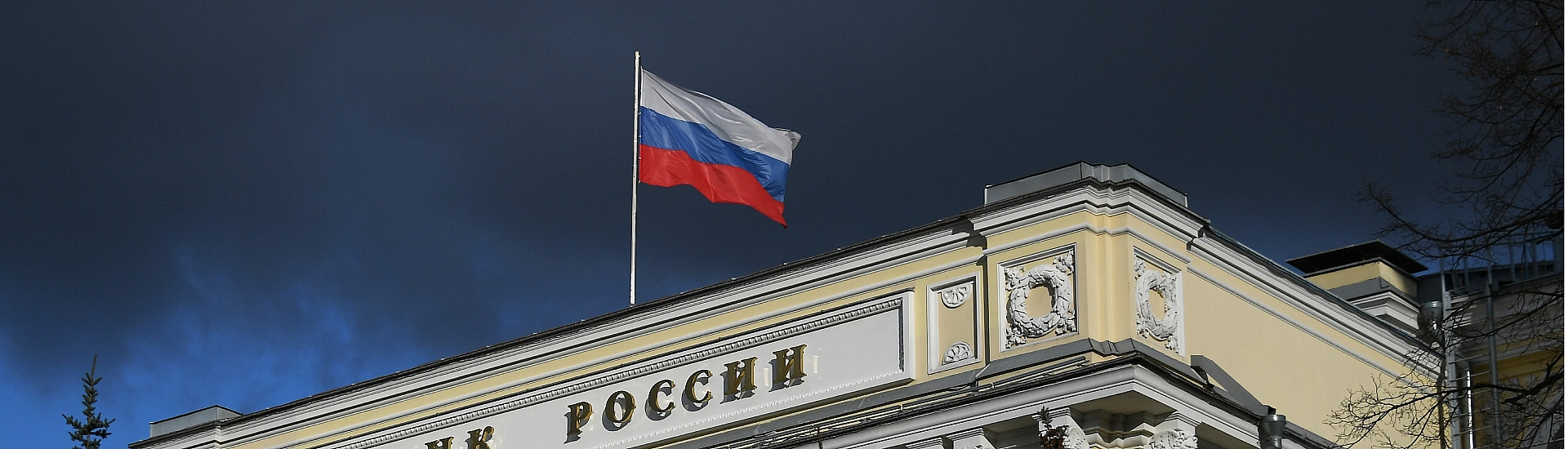 ЦБ назначил Ирину Ильину и. о. директора департамента финансовых технологий