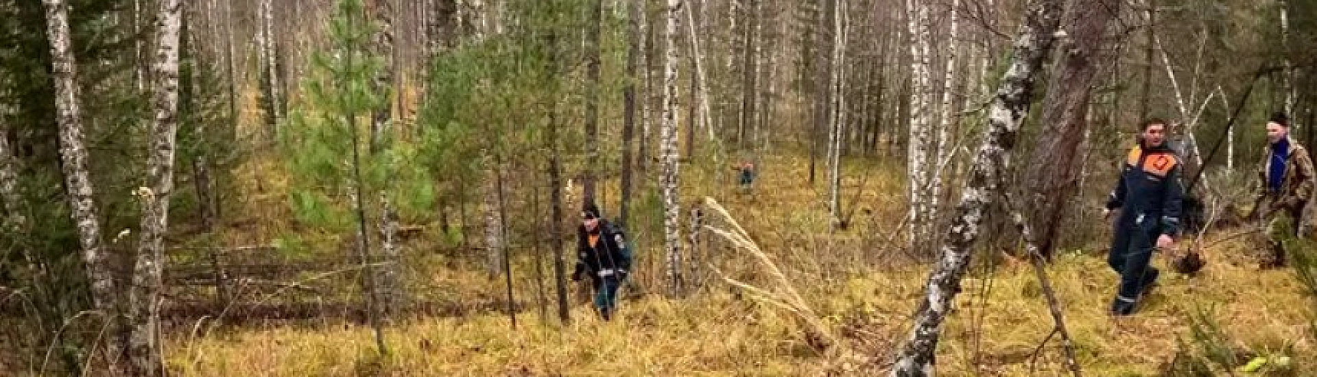 В Красноярском крае из-за плохой погоды приостановлены воздушные поиски пропавшей семьи Усольцевых