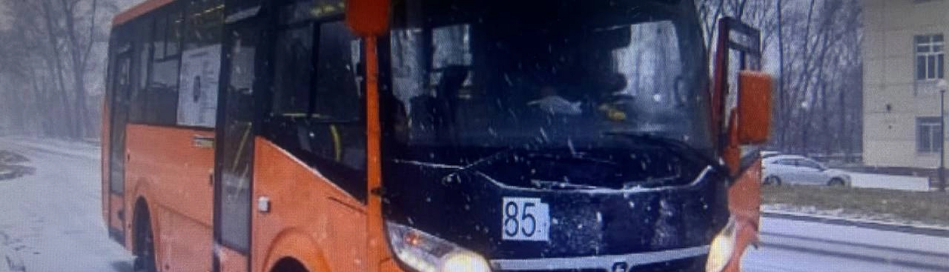 В Амурской области школьницу протащило по дороге автобусом после того, как ее зажало дверями