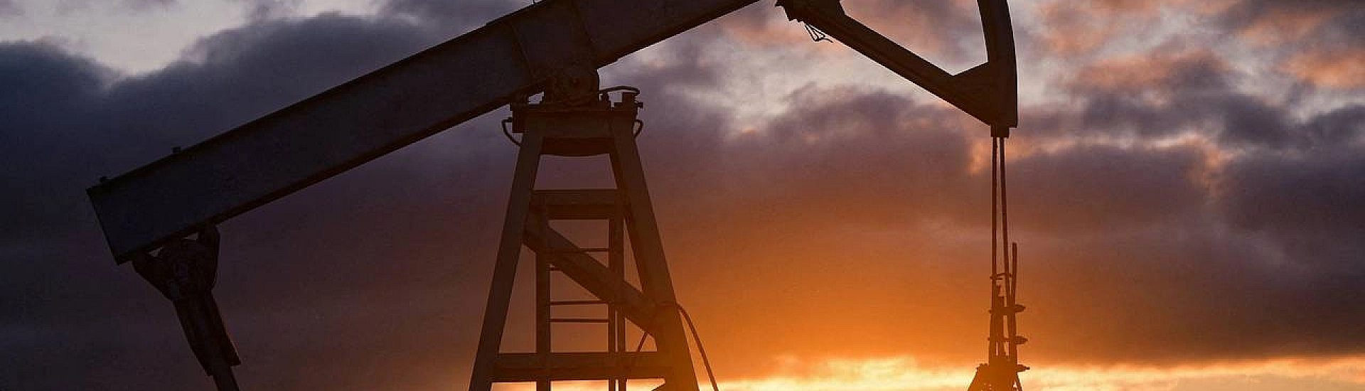 МИД РФ: Индия продолжает закупать российскую нефть, несмотря на заявления Трампа