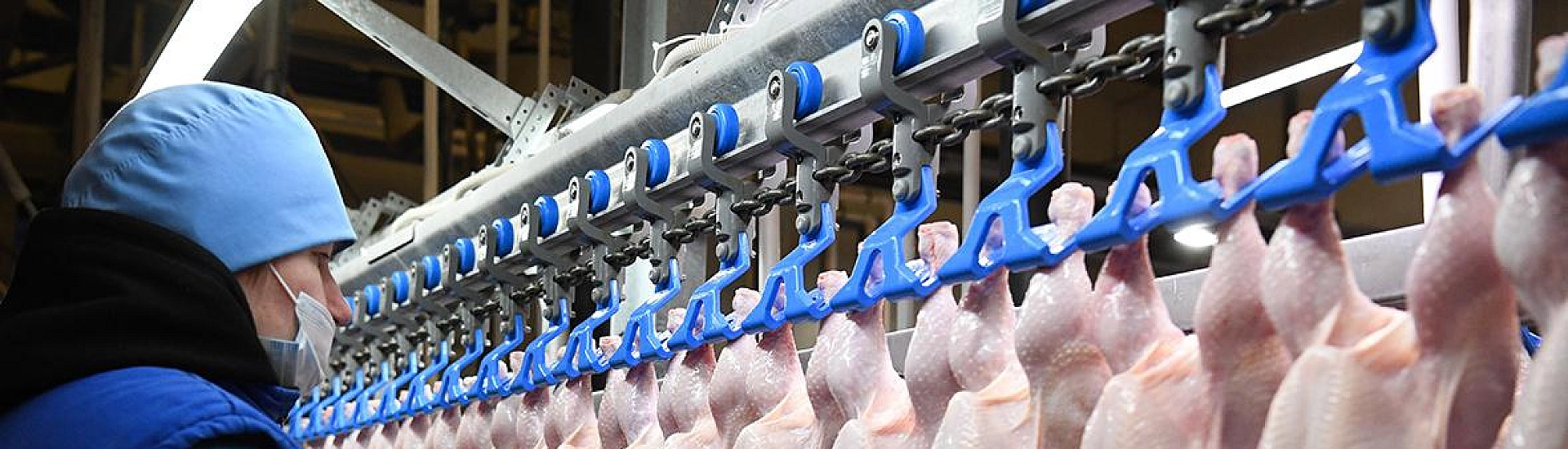 Экспорт продукции из куриного мяса из России в Саудовскую Аравию в 2025 году вырос до рекордных значений