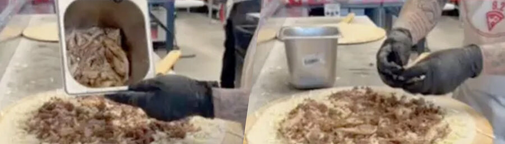 Пицца с мясом игуаны вызвала бурную реакцию в соцсетях