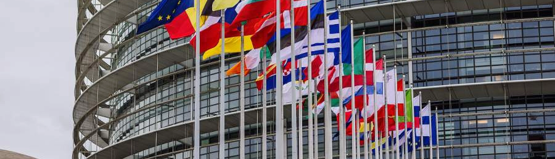 Мадьяр объяснил, почему Венгрия против ускоренного вступления Украины в ЕС