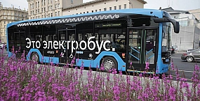 В Москве электробус сбил женщину насмерть на пешеходном переходе