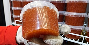 Объем промаркированной красной икры увеличился на 18% за сезон
