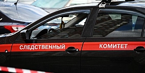 В Рязани задержан подозреваемый в нападении на девушку в Лефортовском парке Москвы