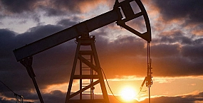 МИД РФ: Индия продолжает закупать российскую нефть, несмотря на заявления Трампа