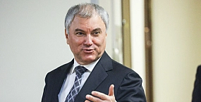 Володин заявил об усилении контроля за мигрантами после вступления в силу закона об обмене данными о детях