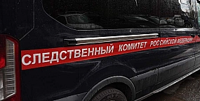 В Пулково задержан глава комитета по госзаказу Петербурга Денис Толстых