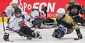 В Нижегородской области завершился финал чемпионата России по следж-хоккею дивизиона «Лига героев»