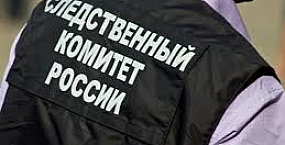 В Тюмени возбуждено дело после обнаружения тела новорожденного в лесополосе