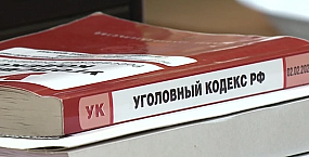 Жителя Пензенской области приговорили к двум годам за нападение на главу района