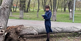 В Самаре дерево упало на детей: один ребенок погиб