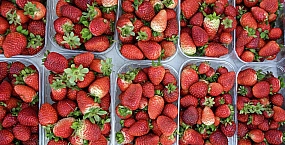 В России клубника за месяц подешевела на 28%