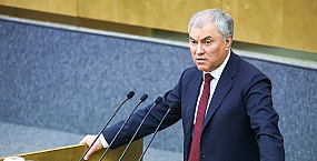 Володин заявил, что судьбу оскорблявших Россию релокантов будет решать суд