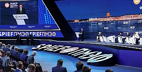 Депутат Европарламента не смог во время вылететь на ПМЭФ из-за забастовки