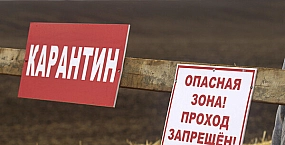 Травников сообщил о снятии карантина по пастереллезу в Новосибирской области