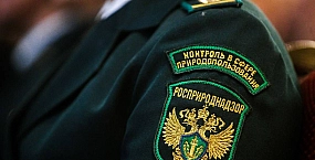 Компании «Арсиба» вновь оказались в центре экологических и судебных споров в Тюменской области