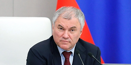 Володин назначил помощником мать погибшего Героя России
