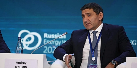 Россети как кубышка для обогащения: Рюмин подался в девелоперы