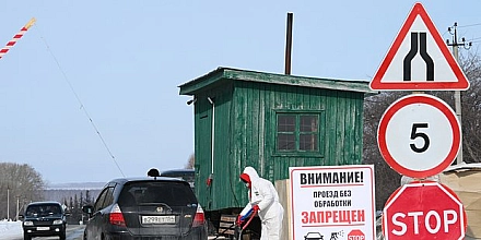 Кремль прокомментировал меры по убою скота в Новосибирской области