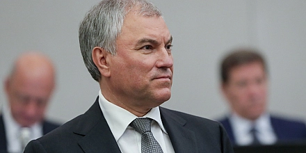 Володин предложил ввести ограничения на применение ИИ и других технологий