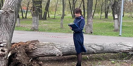 В Самаре дерево упало на детей: один ребенок погиб
