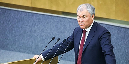 Володин заявил, что судьбу оскорблявших Россию релокантов будет решать суд