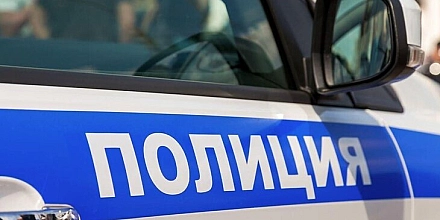 В Мытищах собака погибла после конфликта между соседями