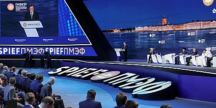 Депутат Европарламента не смог во время вылететь на ПМЭФ из-за забастовки