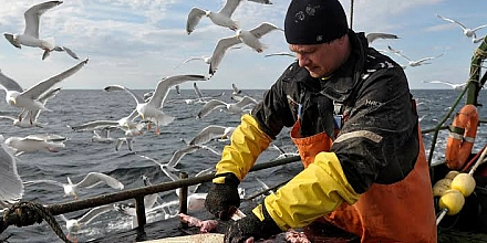 Рыбопромышленникам не дали отсрочку по штрафам за ошибки при регистрации сделок