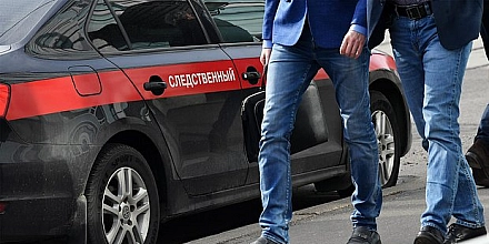 СК возбудил дела против создателей «Империи гусей»-педофилов