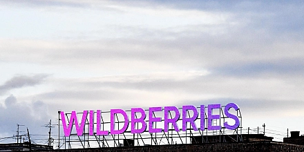 Правительство готовит новые меры поддержки продавцов Wildberries после атак на склады