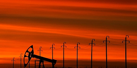 ФАС возбудила 41 дело против участников рынка нефтепродуктов