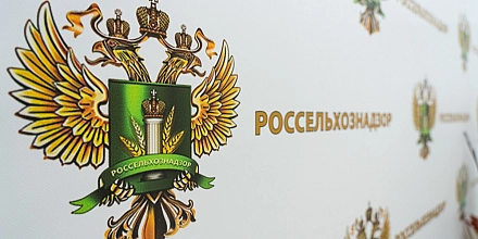 Россельхознадзор проверяет вакцину «Мультифел» после сообщения о гибели кошки