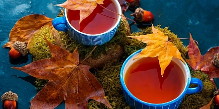 Осенние чаи: рецепты с яблоками, ягодами, цитрусами и пряностями