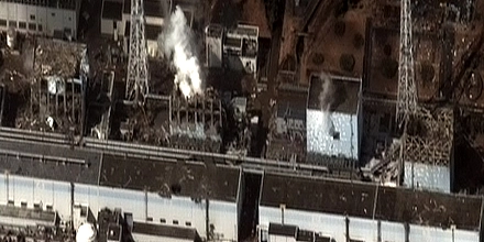 Роспотребнадзор не выявил превышений радионуклидов в рыбе и воде Японского моря